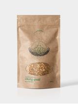 Dong quai - dzięgiel chiński korzeń