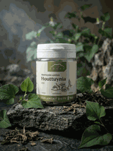 Houttuynia 100 kapsułek x 250 mg
