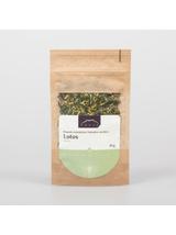 Lotos kiełki - lotus plumule