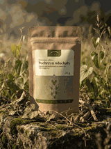 Pochrzyn włochaty (wild yam) ekstrakt 16% diosgeniny