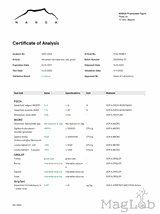 Wrośniak różnobarwny grzyb