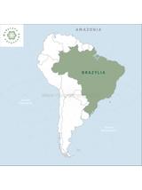 Carqueja