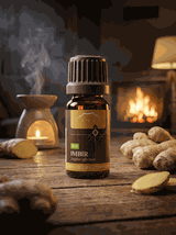 Olejek imbirowy BIO 100% eteryczny Nanga spożywczy