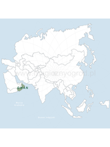 Olibanum Oman