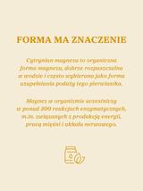 Cytrynian magnezu 100 kapsułek x 700mg