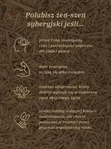 Żeń-szeń syberyjski nalewka 1:1