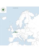 Inulina - naturalny prebiotyk