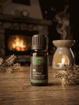 Olejek z drzewa herbacianego BIO 100% eteryczny Nanga