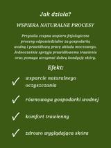 Przytulia czepna ziele