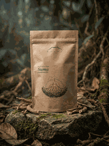 Suma korzeń (pfaffia)