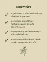 Olejek z oregano w MCT 5%