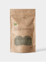 Soplówka jeżowata Bio