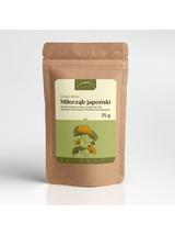 Ginkgo biloba ekstrakt 24% / 6%