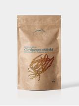 Kordyceps w proszku