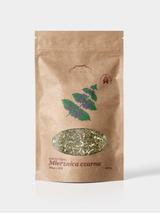 Mierznica czarna ziele