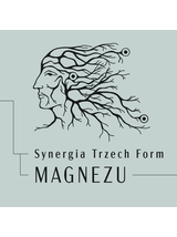 3 Magów