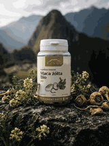 Maca żółta w kapsułkach BIO x500mg