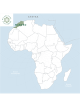 Olejek z bylicy rocznej 100% eteryczny Nanga