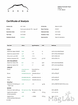 Czarnuszka ekstrakt 100 kapsułek x 400 mg