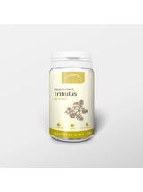 Tribulus Power 60 kapsułek x 500 mg