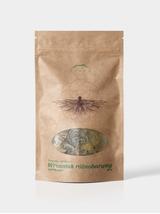 Wrośniak różnobarwny grzyb