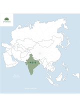 Herbata zielona -  Darjeeling Green Snowview