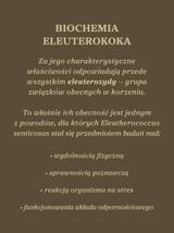 Żeń-szeń syberyjski kapsułki x 400 mg