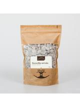 Boswellia serrata - kadzidło indyjskie