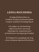 Eliksir Chagaricus