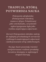 Pelargonia afrykańska wyciąg ziołowy 1:5