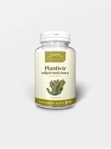 PLANTIVIR - ziołowy zestaw ochronny Buhnera 100 KAPSUŁEK