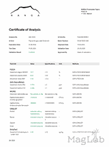 Pięciornik gęsi ziele