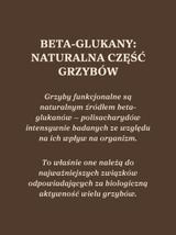 Kawa Trzy Grzyby