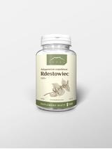 Rdestowiec 500+ kapsułki  x 500 mg