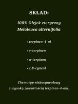 Olejek z drzewa herbacianego 100% eteryczny Nanga