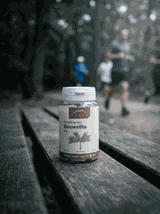 Boswellia 100 kapsułek x 500 mg