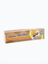 Pasta do zębów Dabur Ayurwadic 26 ziół