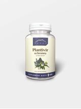 PLANTIVIR - ziołowy zestaw ochronny Buhnera 100 KAPSUŁEK