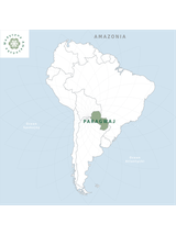 Nasiona chia - szałwia hiszpańska