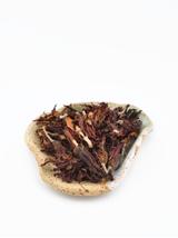 Magnolia kwiat