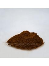 Chaga - guz brzozy