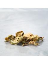 Nopal