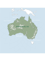 Olejek z drzewa herbacianego BIO 100% eteryczny Nanga