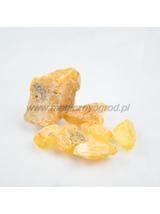 Copal kongo