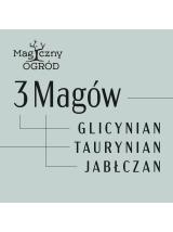 3 Magów