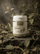 Gurmar 100 kapsułek x 200 mg