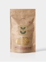 Rdestowiec japoński kłącze