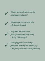 Piołun ziele