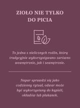 Czarcie żebro (ostrożeń warzywny) ziele