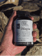 3 Magów